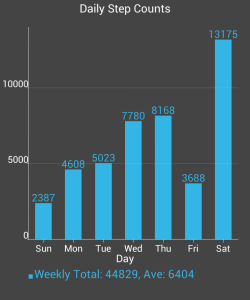 10,000 steps challenge results