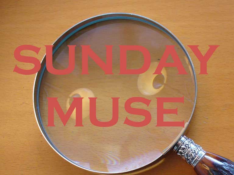 sunday muse refocus edition