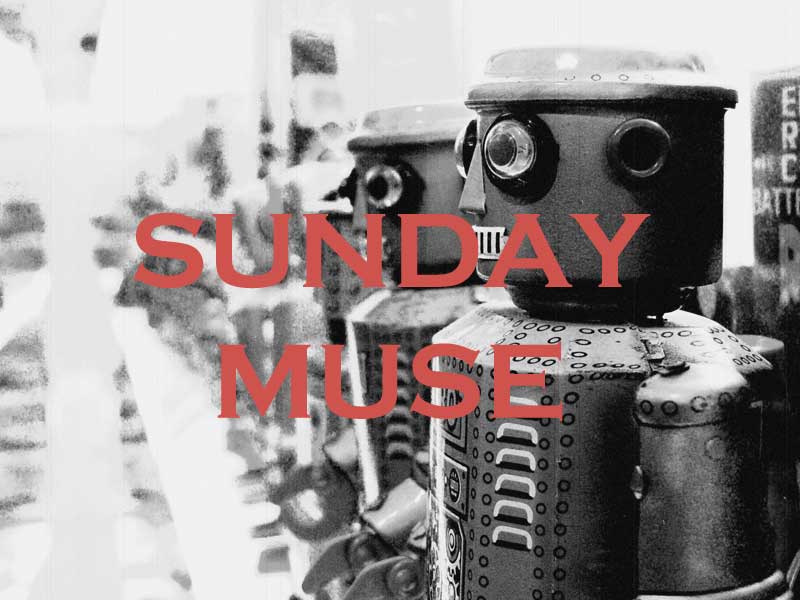 Sunday Muse New Toys Edition