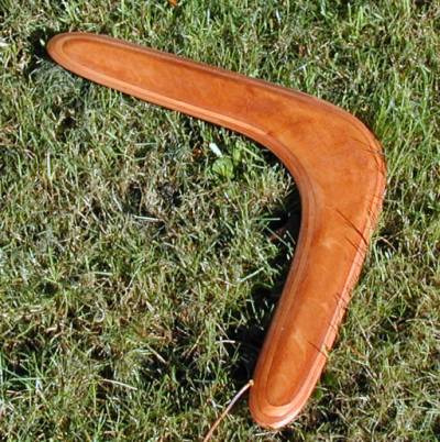 Boomerang on the grass